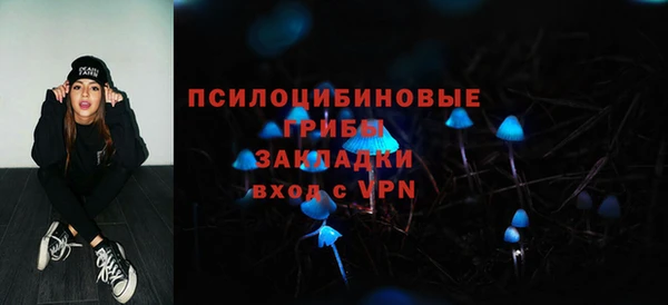 соль ск Алексеевка