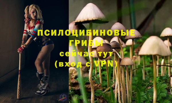 a pvp Алзамай