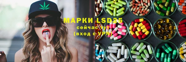 a pvp Алзамай