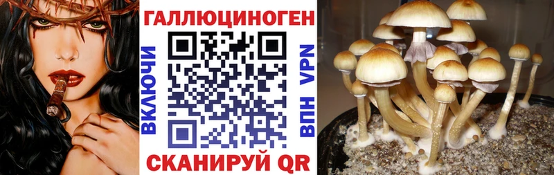 Галлюциногенные грибы мухоморы  магазин продажи   Микунь 